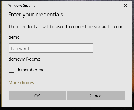 Remote Demo Access